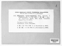 Image Associated With the Occurence